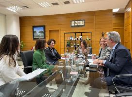 La vicepresidenta del CPTS de Cádiz, Dª Ana Rosa Listán, representó a la Comisión de Salud del CATS en la reunión con la Consejería de Salud y Consumo.