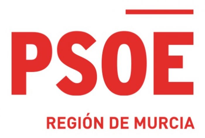 Consuelo Cano, Diputada regional del PSOE, se reúne con el Colegio para poner en común las inquitudes