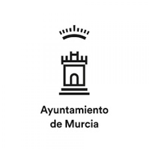 El colegio participa en el Consejo Municipal de Servicios Sociales del Ayuntamiento de Murcia