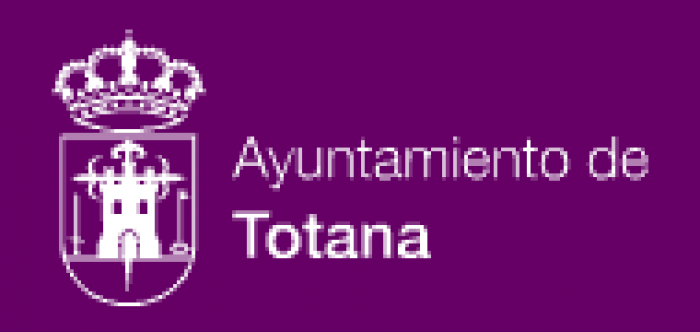 El pleno del Ayuntamiento de Totana debatirá la moción de alcaldía en apoyo a la solicitud del CGTS para impulsar una Ley que declare el carácter de profesión sanitaria de profesionales de Trabajo Social Sanitario