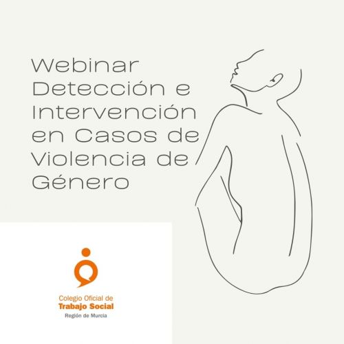 Conclusiones Webinar Detección e Intervención en Casos de Violencia de Género