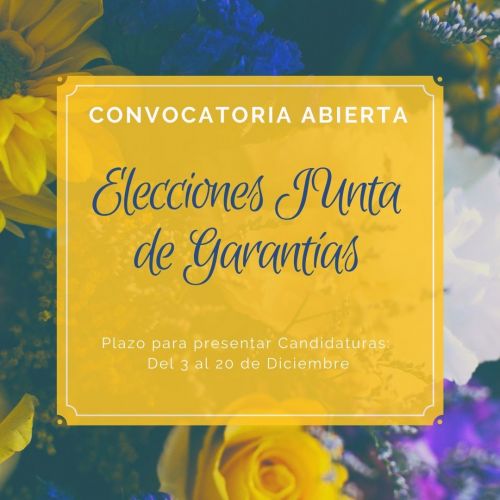 Convocatoria de elecciones para la Junta de Garantías