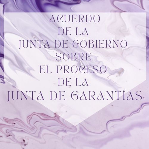 Acuerdo de la Junta de Gobierno sobre el Proceso de la Junta de Garantías