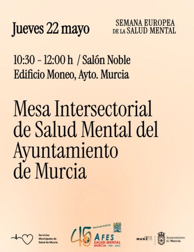 El Colegio asiste a la V Mesa Intersectorial de Salud Mental del Ayuntamiento de Murcia