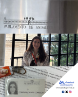 El Consejo Andaluz de Trabajo Social comparece en el Parlamento de Andalucía para defender una Ley de Vivienda real, social y efectiva