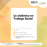 Lo sistémico en Trabajo Social 